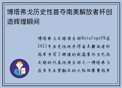 博塔弗戈历史性首夺南美解放者杯创造辉煌瞬间